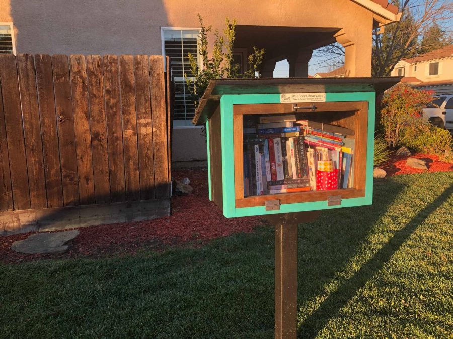 Little Free Library stands at the corner of Chantilly and Colbert street