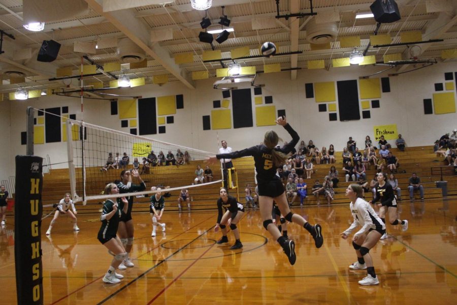 Husky Volleyball Goes to Playoffs
