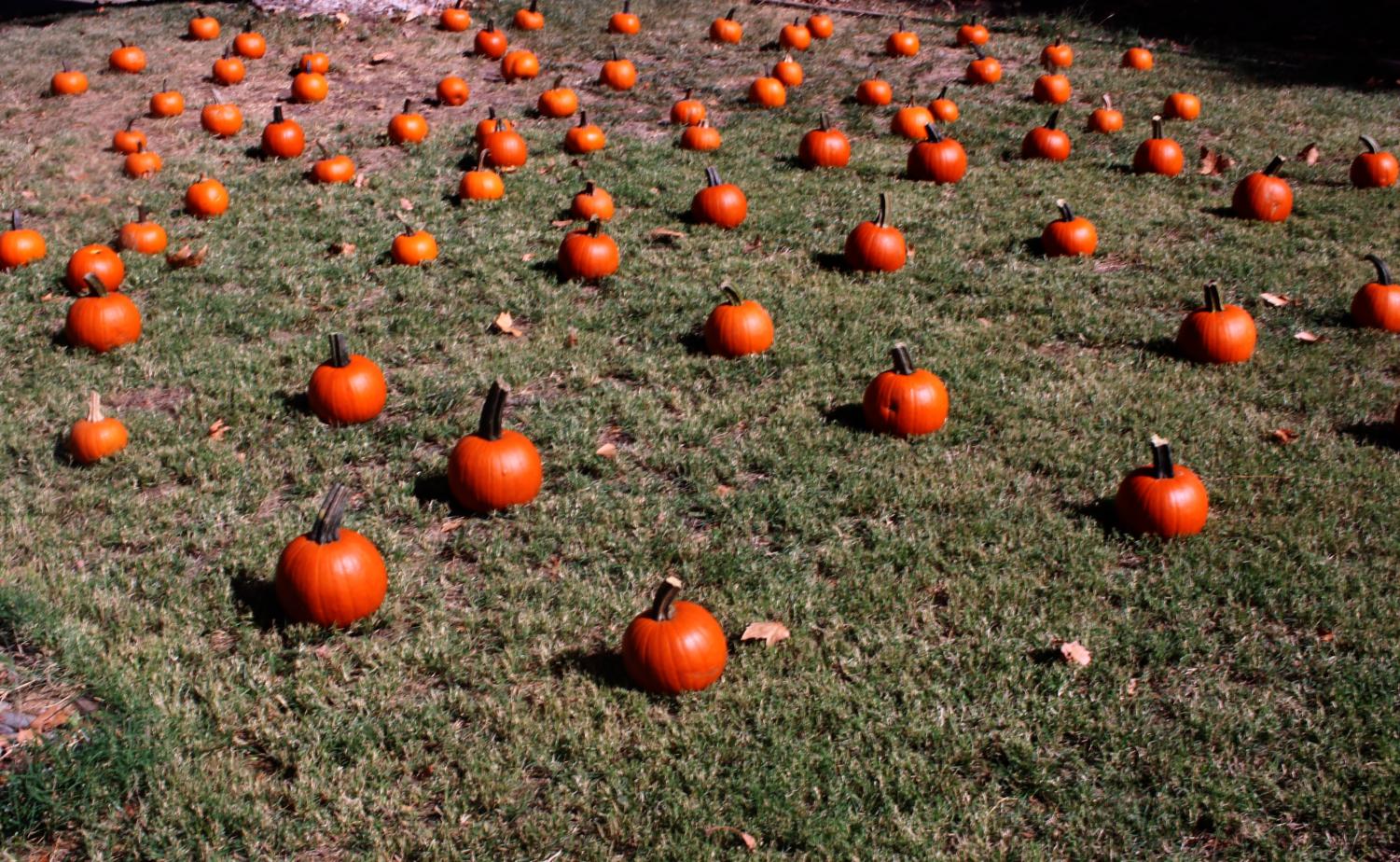 The origin of halloween the paw