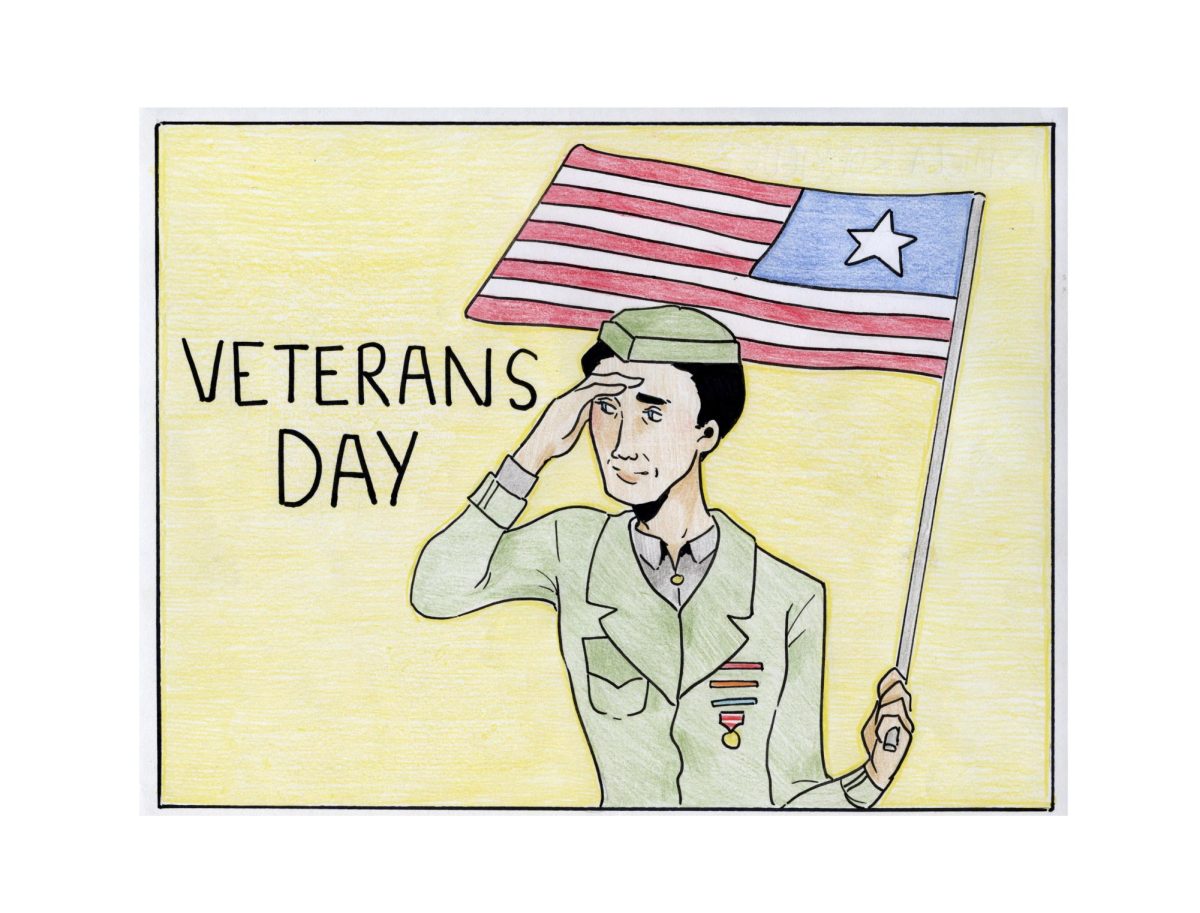 Comic Strip Series: Veterans Day