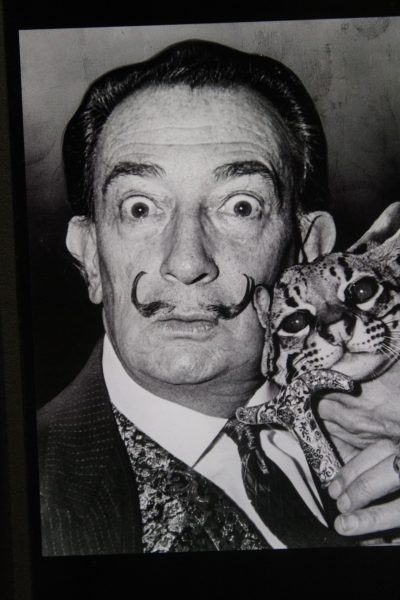 The Most Famous Painting of Salvador Dali