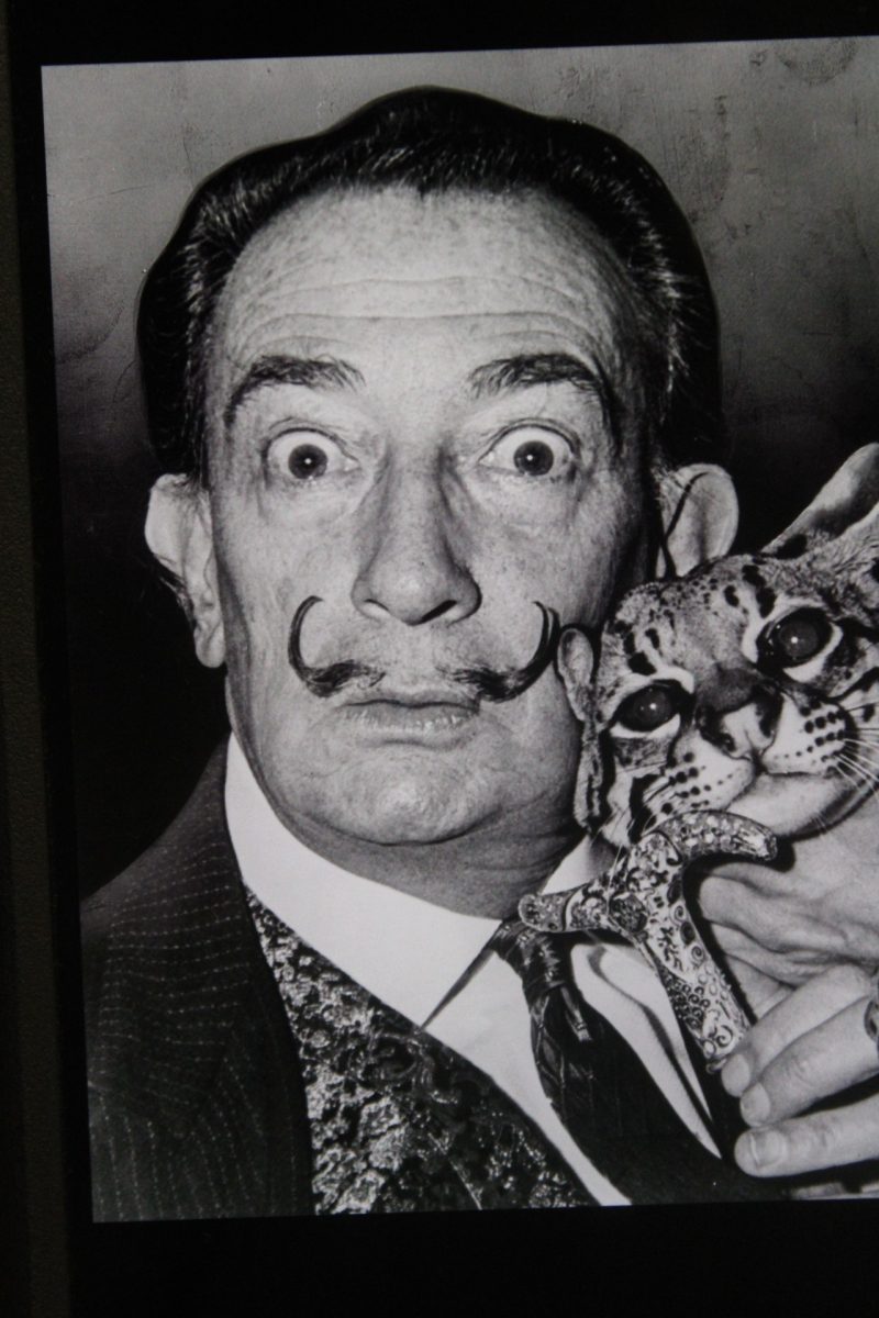 The+Most+Famous+Painting+of+Salvador+Dali