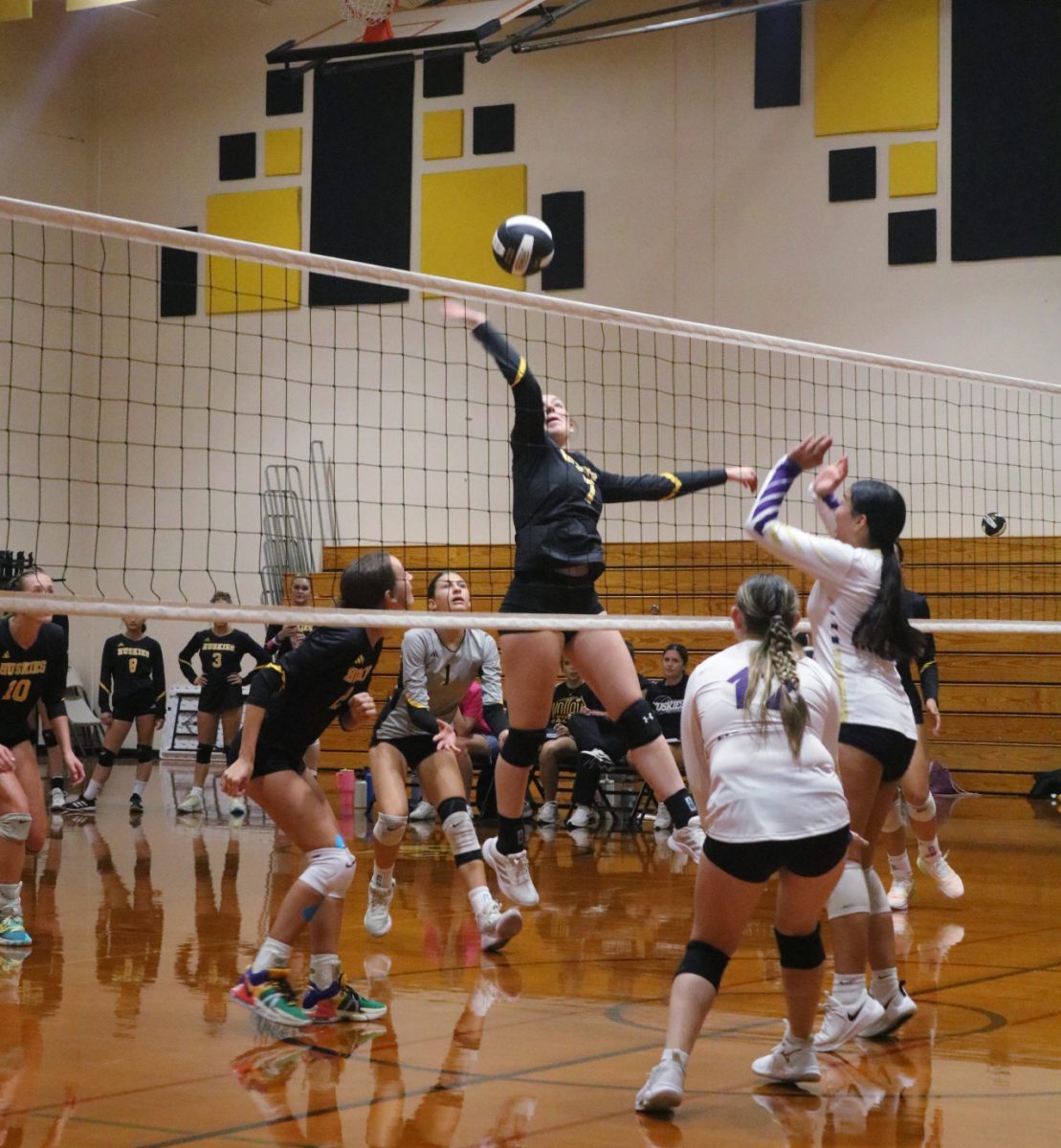 A New Season Approaches: Volleyball