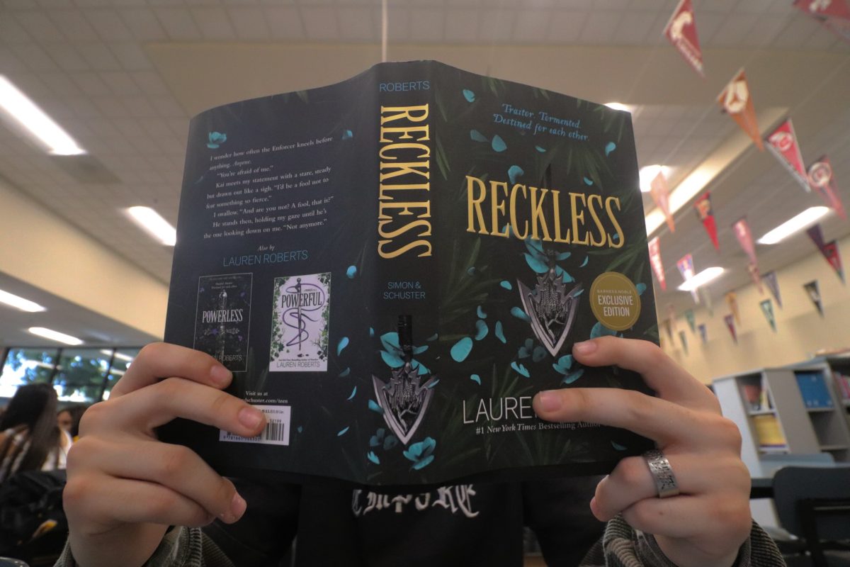 book review reckless-grogan