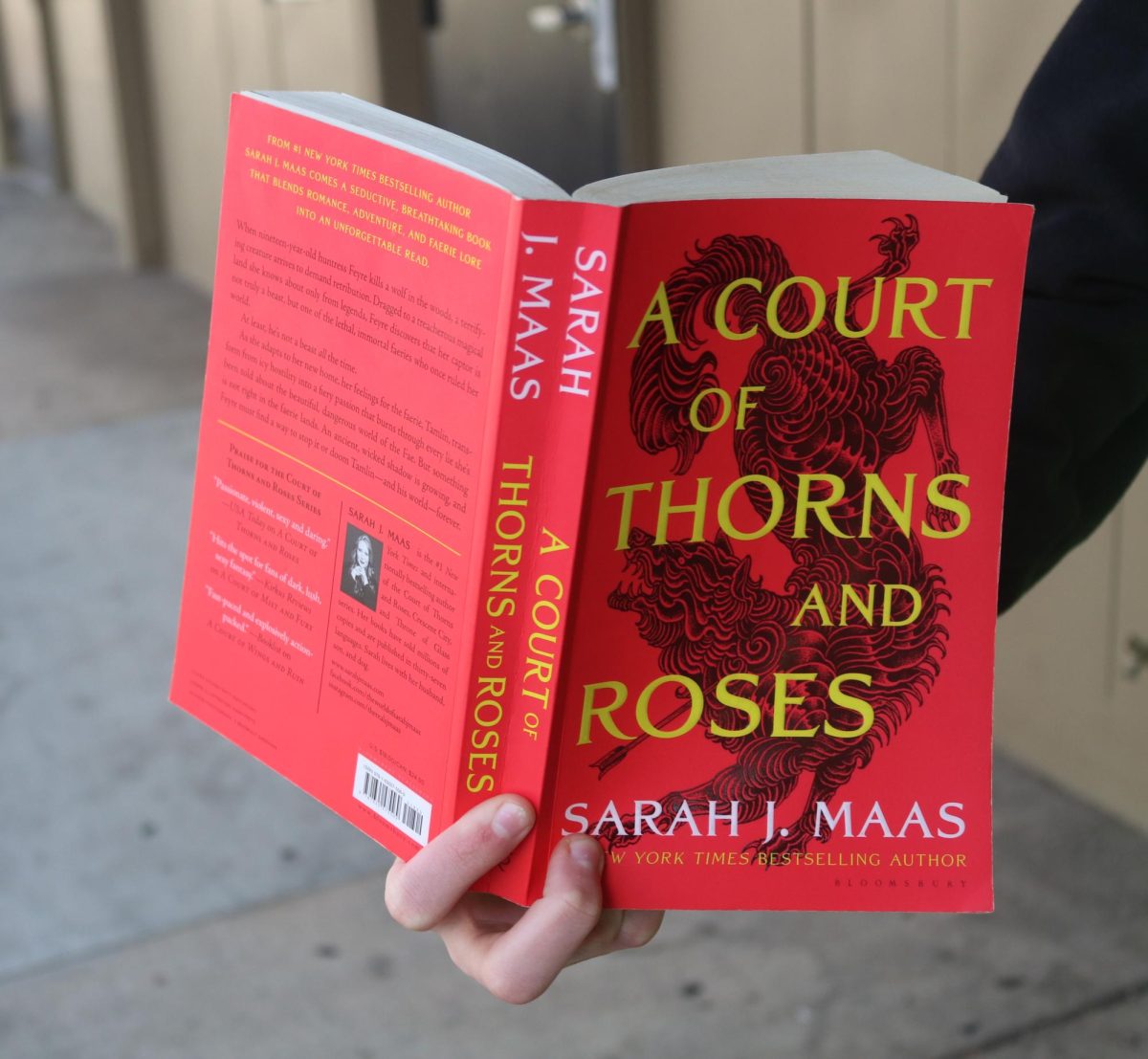 Book Review: A Court Of Thorns And Roses By Sarah J. Maas 