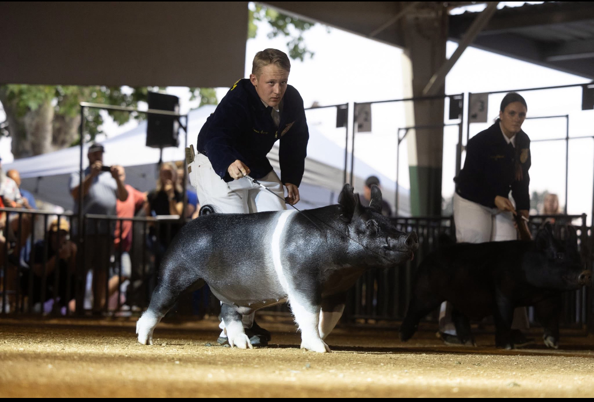 All About an FFA Student - Lance Curry