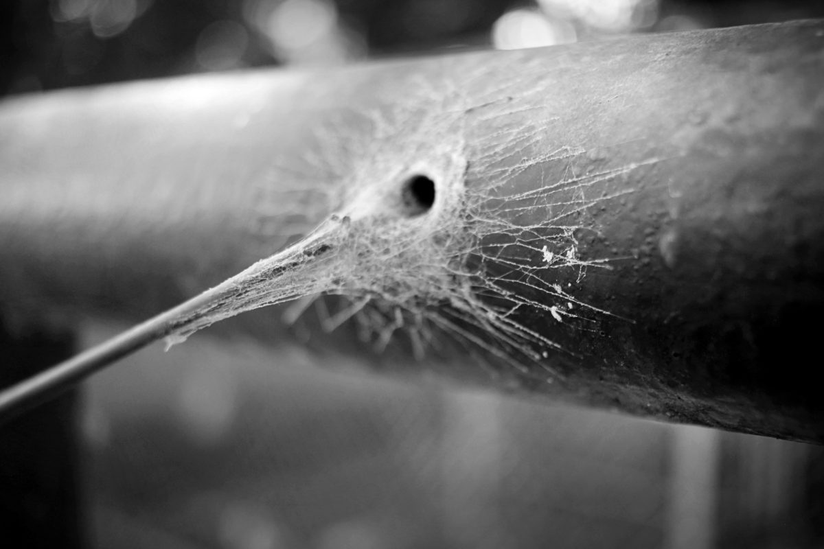 Every Day Objects As Abstract Art