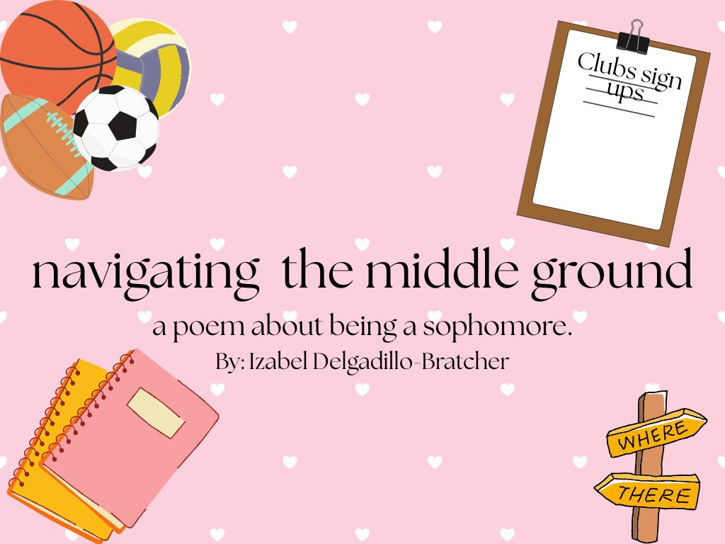 Navigating the Middle Ground