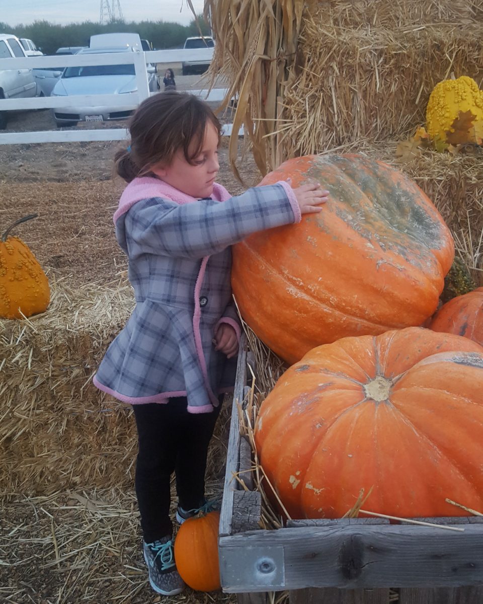 Get in the Spirit: Fun Ways to Celebrate Halloween