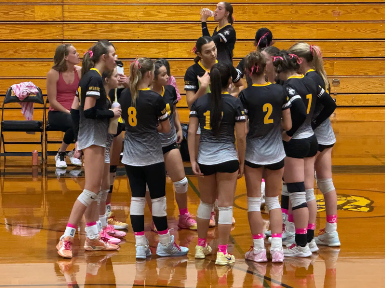 Lady Huskies Take A Tough Loss Against the Cougars