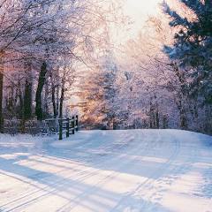 Winter Time: a Poem